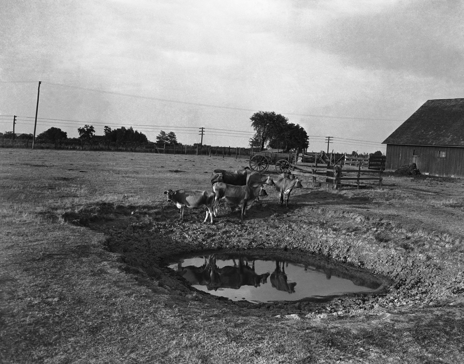 1936: Missouri Dust Bowl